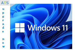 Windows 11